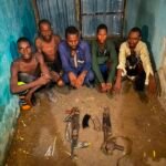 Troops Arrest Five Suspected Kidnappers, Recover AK-47 Rifles in Borno