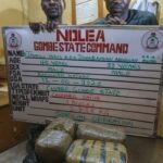 NDLEA STRIKES AGAIN: Woman, Man with Disabilities Nabbed in Abia, Rivers and Delta Drug Raids