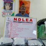 NDLEA Foils UK Cocaine Smuggling Bid, Arrests Balogun Market Trader