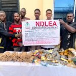 NDLEA Arrests 68 Suspected Drug Traffickers, Seizes 7,531kg of Narcotics in Edo
