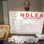 1.2kg Cocaine in Phone Chargers: NDLEA Arrests Ex-Convict in Lagos