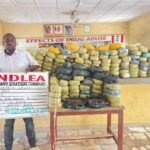 NDLEA Intercepts Cannabis, 64,000 Opioid Pills in Multiple States